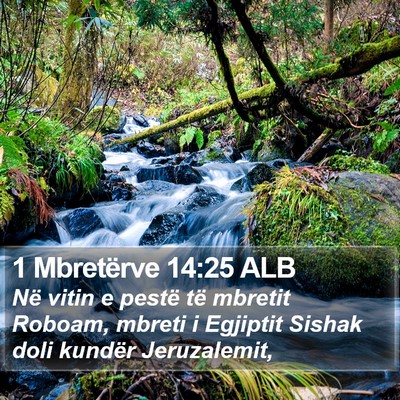 1 Mbretërve 14:25 ALB Bible Verse Image