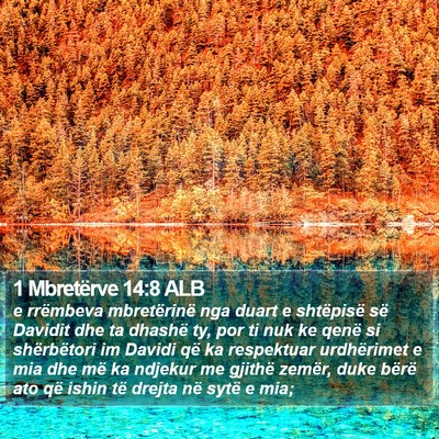 1 Mbretërve 14:8 ALB Bible Verse Image