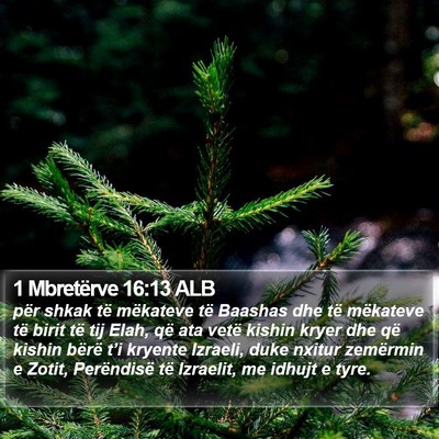 1 Mbretërve 16:13 ALB Bible Verse Image