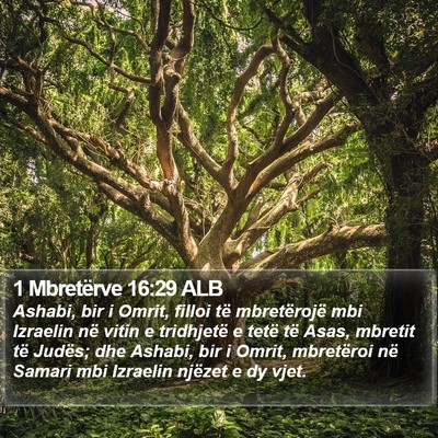 1 Mbretërve 16:29 ALB Bible Verse Image
