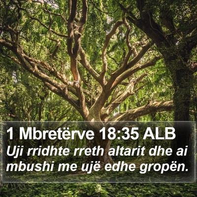 1 Mbretërve 18:35 ALB Bible Verse Image