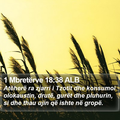 1 Mbretërve 18:38 ALB Bible Verse Image