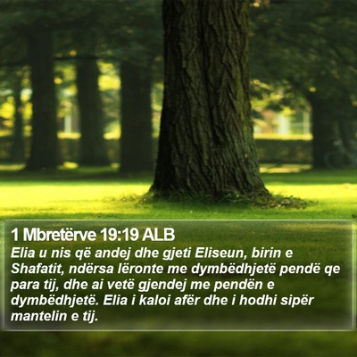 1 Mbretërve 19:19 ALB Bible Verse Image