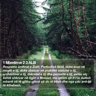 1 Mbretërve 2:3 ALB Bible Verse Image