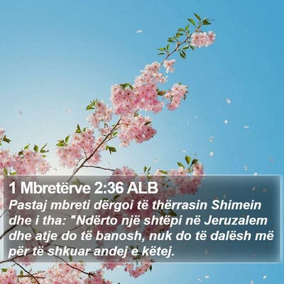 1 Mbretërve 2:36 ALB Bible Verse Image