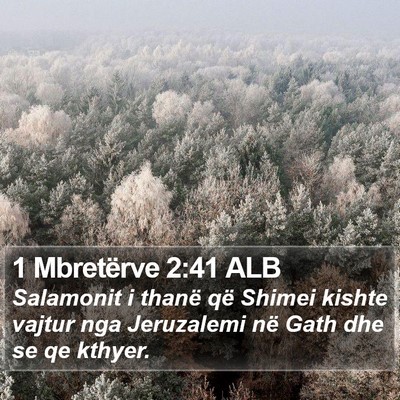 1 Mbretërve 2:41 ALB Bible Verse Image