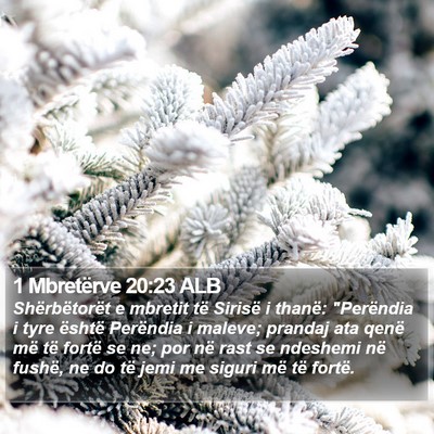 1 Mbretërve 20:23 ALB Bible Verse Image