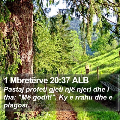 1 Mbretërve 20:37 ALB Bible Verse Image