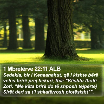 1 Mbretërve 22:11 ALB Bible Verse Image