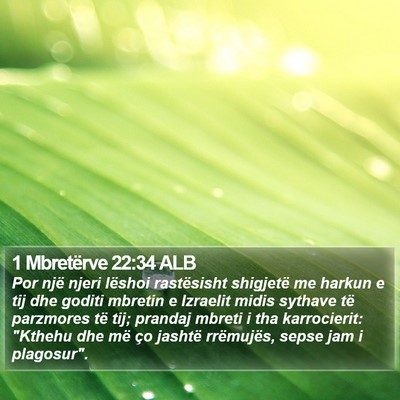 1 Mbretërve 22:34 ALB Bible Verse Image
