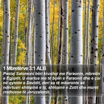 1 Mbretërve 3:1 ALB Bible Verse Image