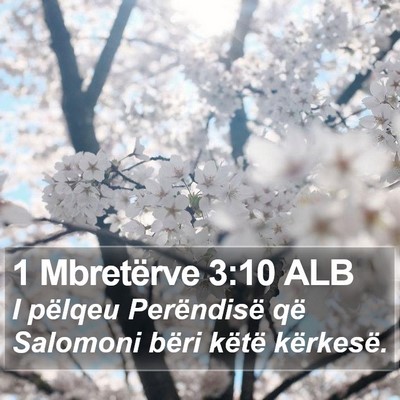 1 Mbretërve 3:10 ALB Bible Verse Image