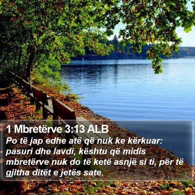 1 Mbretërve 3:13 ALB Bible Verse Image