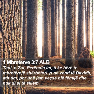 1 Mbretërve 3:7 ALB Bible Verse Image