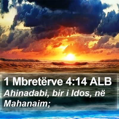 1 Mbretërve 4:14 ALB Bible Verse Image