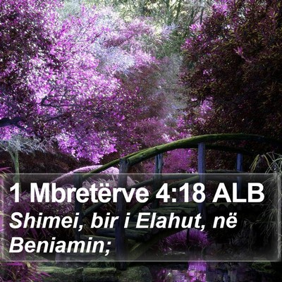 1 Mbretërve 4:18 ALB Bible Verse Image