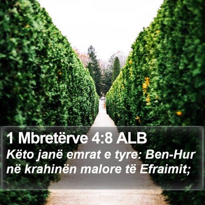 1 Mbretërve 4:8 ALB Bible Verse Image