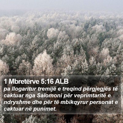 1 Mbretërve 5:16 ALB Bible Verse Image