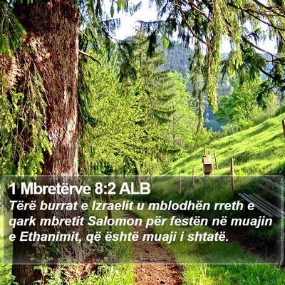 1 Mbretërve 8:2 ALB Bible Verse Image