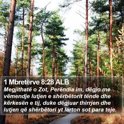 1 Mbretërve 8:28 ALB Bible Verse Image