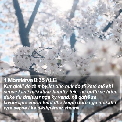 1 Mbretërve 8:35 ALB Bible Verse Image