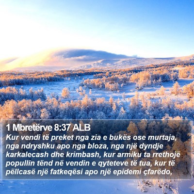 1 Mbretërve 8:37 ALB Bible Verse Image