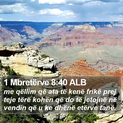 1 Mbretërve 8:40 ALB Bible Verse Image