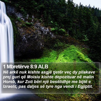 1 Mbretërve 8:9 ALB Bible Verse Image