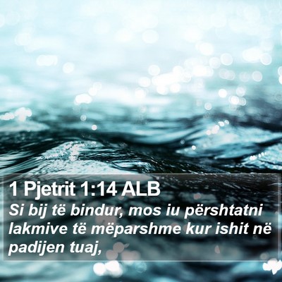 1 Pjetrit 1:14 ALB Bible Verse Image