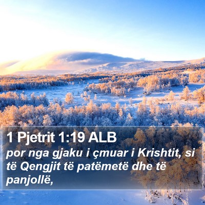 1 Pjetrit 1:19 ALB Bible Verse Image