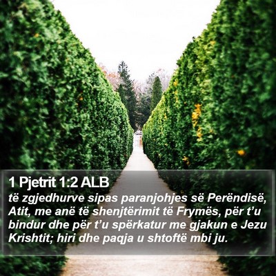 1 Pjetrit 1:2 ALB Bible Verse Image