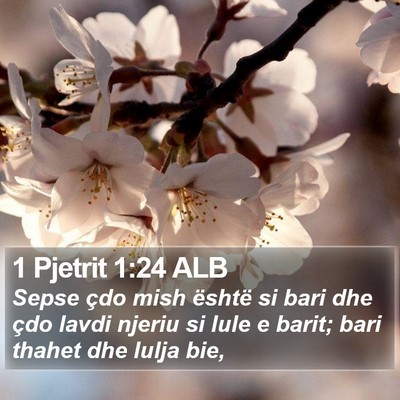 1 Pjetrit 1:24 ALB Bible Verse Image