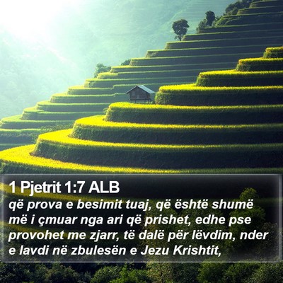1 Pjetrit 1:7 ALB Bible Verse Image