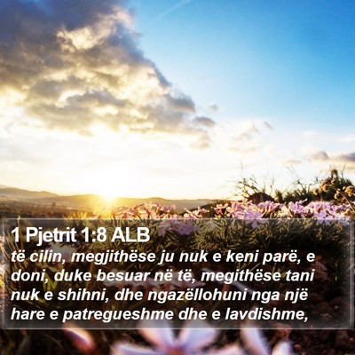 1 Pjetrit 1:8 ALB Bible Verse Image