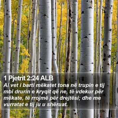 1 Pjetrit 2:24 ALB Bible Verse Image