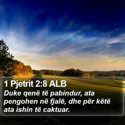 1 Pjetrit 2:8 ALB Bible Verse Image