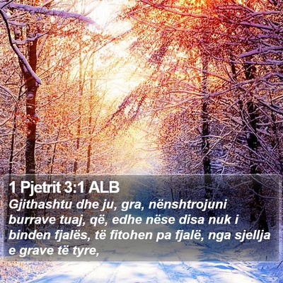 1 Pjetrit 3:1 ALB Bible Verse Image