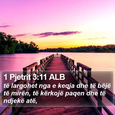 1 Pjetrit 3:11 ALB Bible Verse Image
