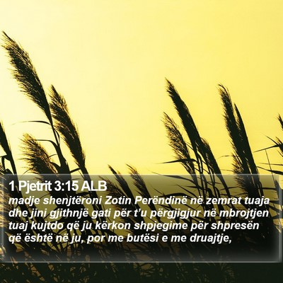 1 Pjetrit 3:15 ALB Bible Verse Image