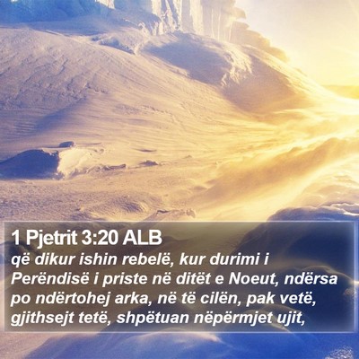 1 Pjetrit 3:20 ALB Bible Verse Image