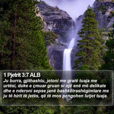 1 Pjetrit 3:7 ALB Bible Verse Image