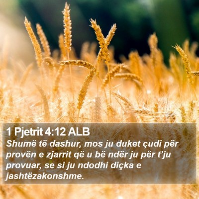 1 Pjetrit 4:12 ALB Bible Verse Image