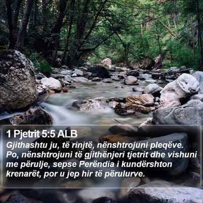 1 Pjetrit 5:5 ALB Bible Verse Image