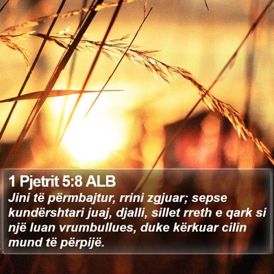 1 Pjetrit 5:8 ALB Bible Verse Image