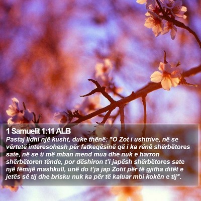 1 Samuelit 1:11 ALB Bible Verse Image