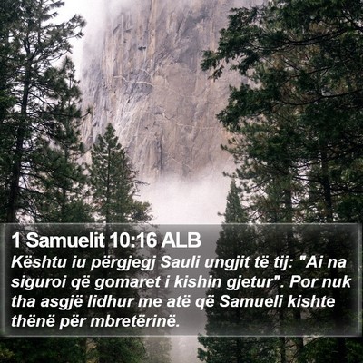1 Samuelit 10:16 ALB Bible Verse Image