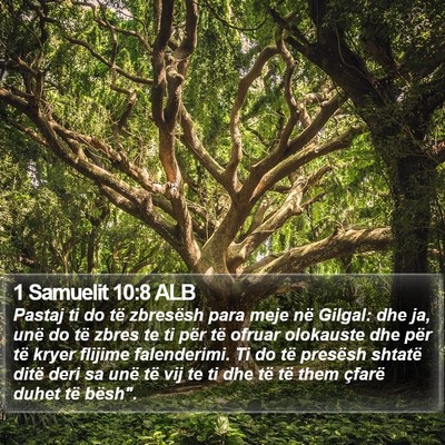 1 Samuelit 10:8 ALB Bible Verse Image