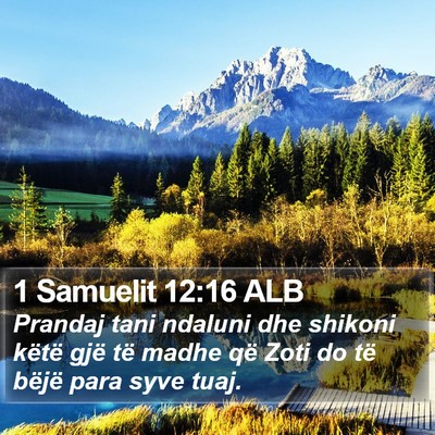 1 Samuelit 12:16 ALB Bible Verse Image