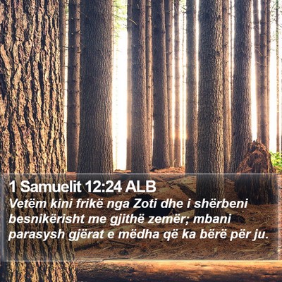 1 Samuelit 12:24 ALB Bible Verse Image