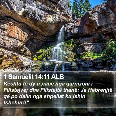 1 Samuelit 14:11 ALB Bible Verse Image